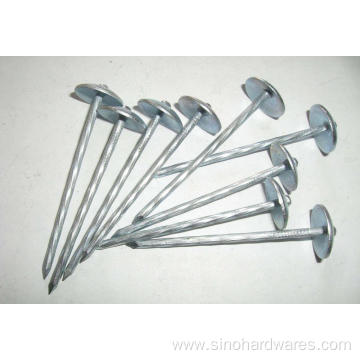 Galvanized Roofing Screws Washer Nails